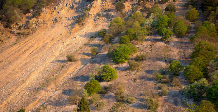 rapilles_baulmes_cr_benoit_renevey