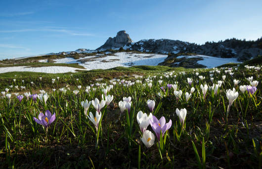  Benoît Renevey reserve prealpes