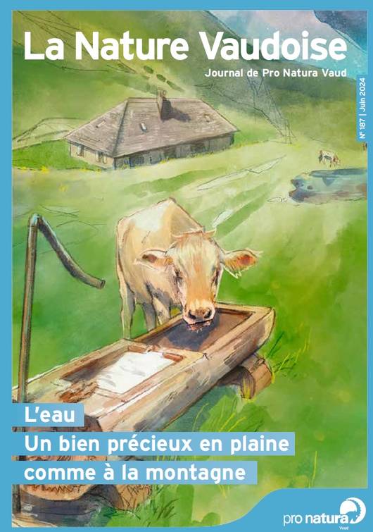 LNV 187 Couverture