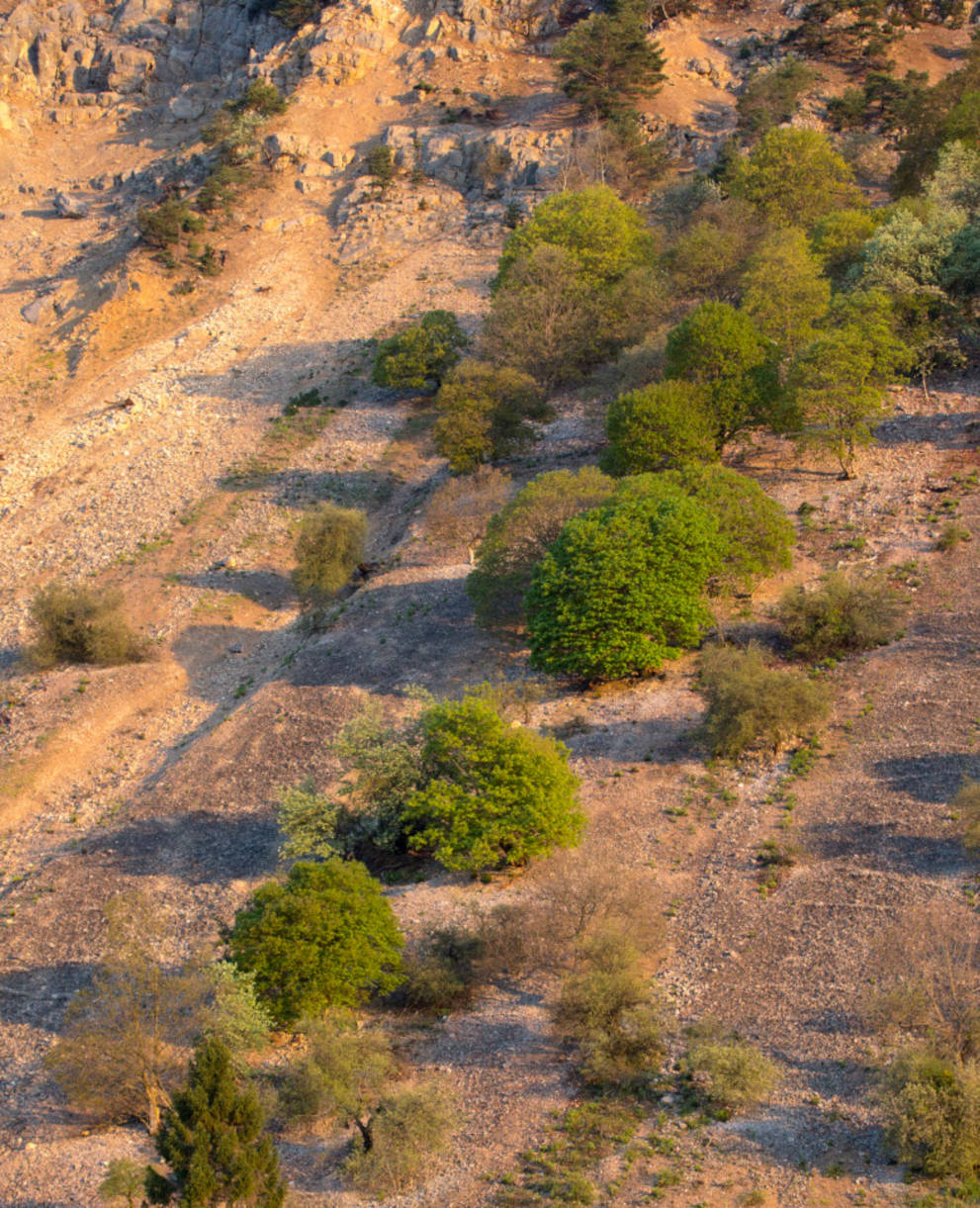 rapilles_baulmes_cr_benoit_renevey