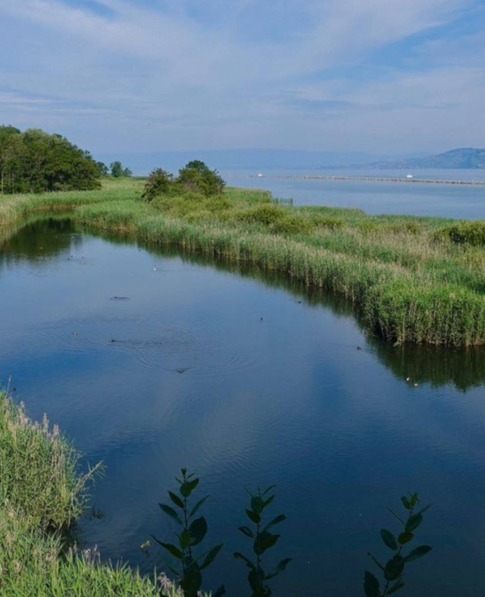 grangettes_cr_giulio_genoni