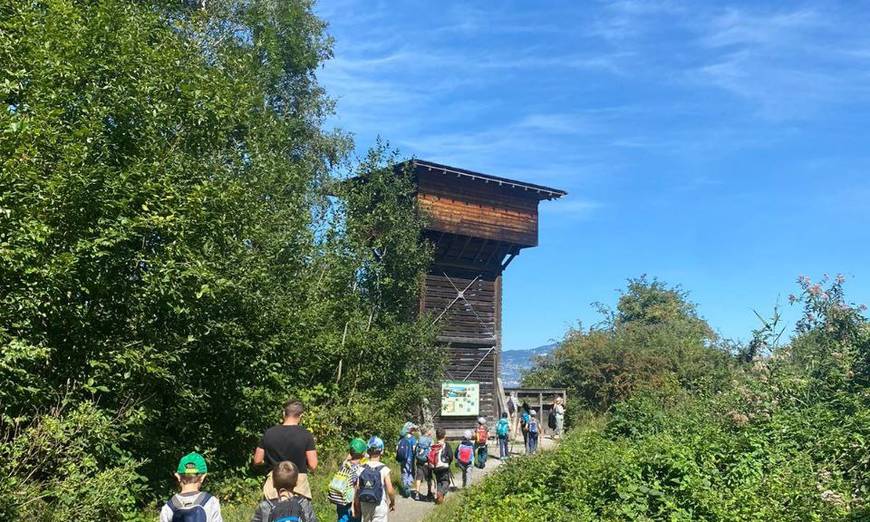 Tour observation Grangettes camp J+N